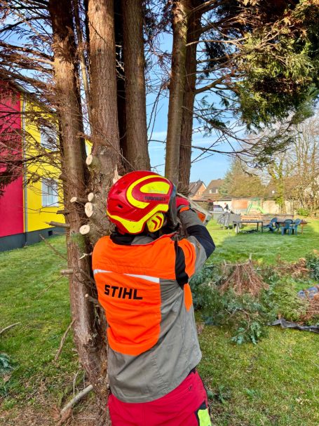 Person mit Schutzhelm schneidet einen Baumstamm in einem Garten.