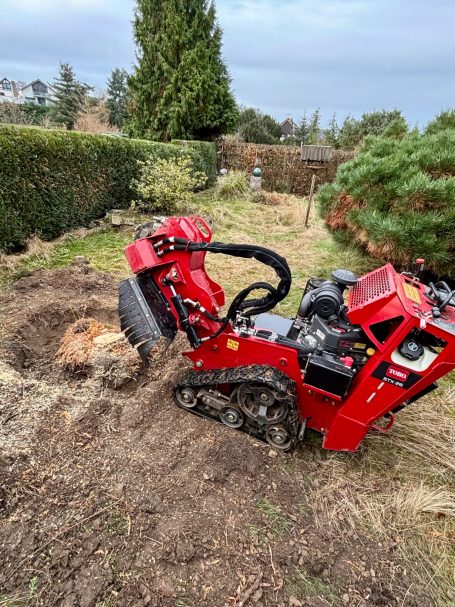 Roter Baumstumpf-Entferner in einem Garten, umgeben von Sträuchern und Bäumen.