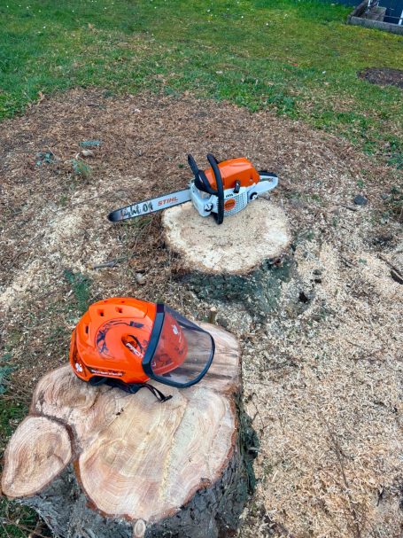 Zwei Motorsägen und ein Schutzhelm auf Baumstumpfen in einem Garten.